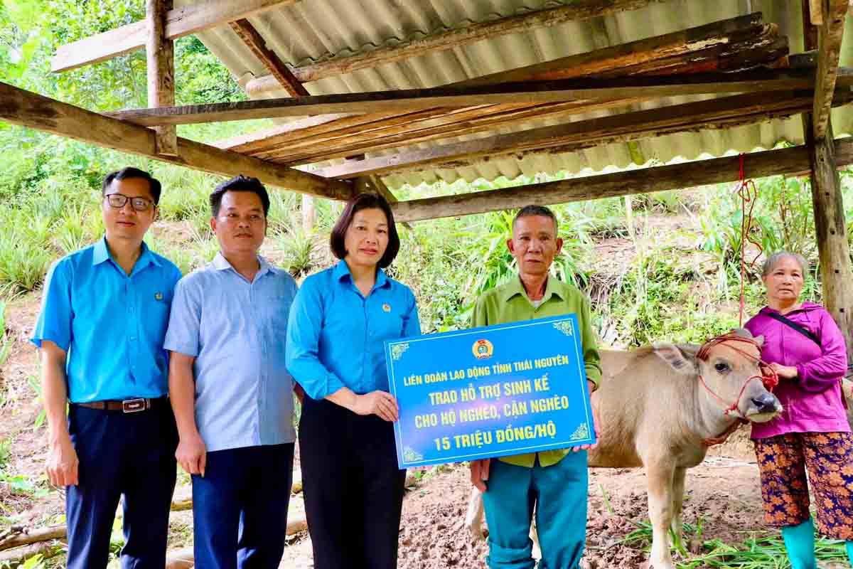Giving livelihoods to help people rise out of poverty in Thai Nguyen