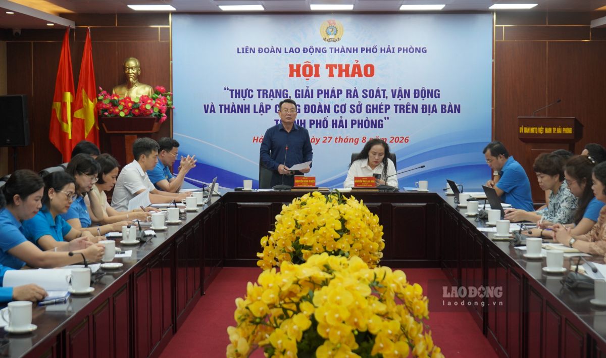 Hai Phong City Labor Federation plans to establish grassroots trade unions combined from micro enterprises