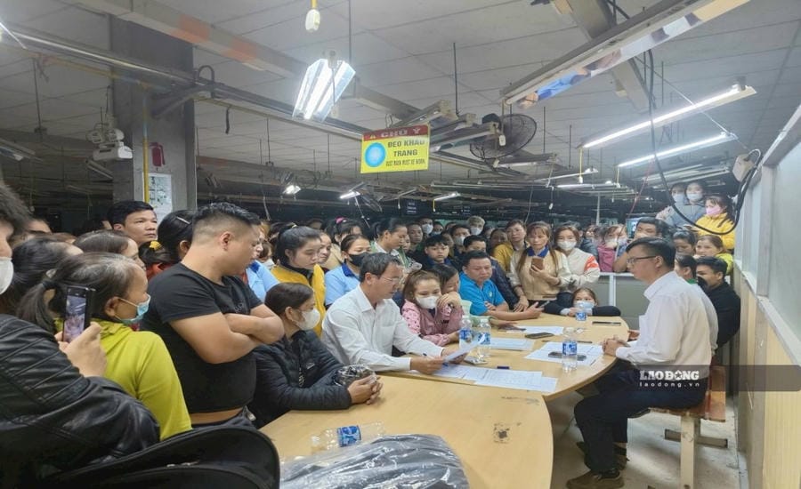 Da Nang will transfer social insurance debt units to the Procuracy for consideration and lawsuit