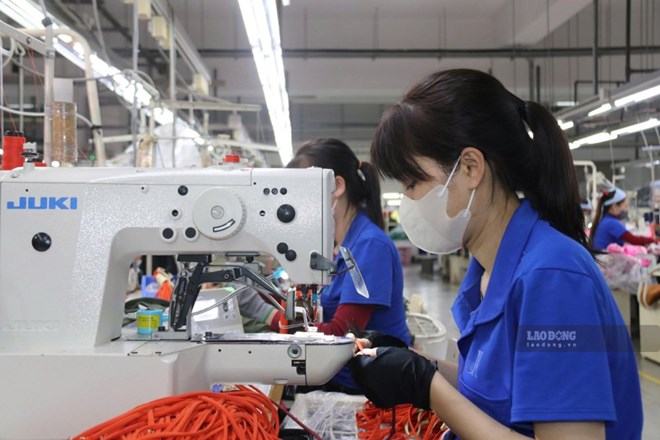 Khanh Hoa proposes to support up to 1.5 billion VND to attract high-quality human resources