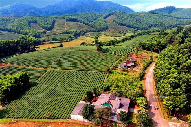 Đất được cấp sổ đỏ là đất nông nghiệp khi chuyển sang đất ở có thể được giảm tiền sử dụng đất. Ảnh: Xuyên Đông