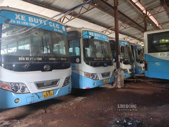 Đắk Lắk dừng khai thác 2 tuyến xe buýt đi Lâm Đồng từ 31.8