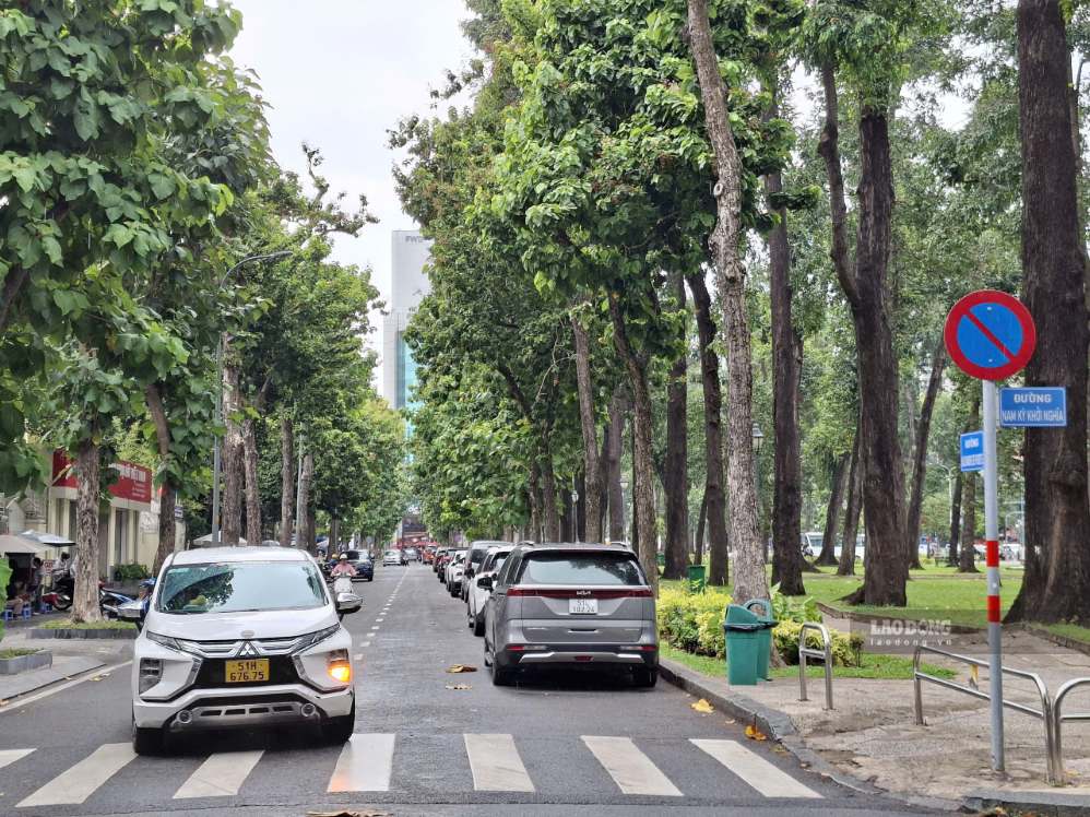 Ôtô nối đuôi đỗ trên đường Alexandre de Rhodes (phường Sài Gòn, TPHCM) dù bị cấm. Ảnh: Minh Quâm 
