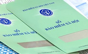 9月1日から、CCCDが社会保険番号に変更された場合、労働者は何を確認する必要がありますか?