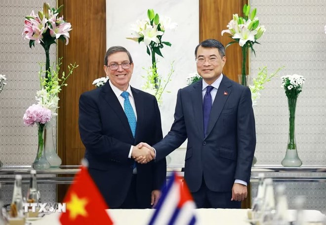 Improving the efficiency of Vietnam - Cuba cooperation projects
