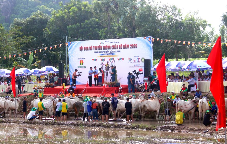 Ro Pagoda Bull Racing Festival broadcast live on National Television for the first time