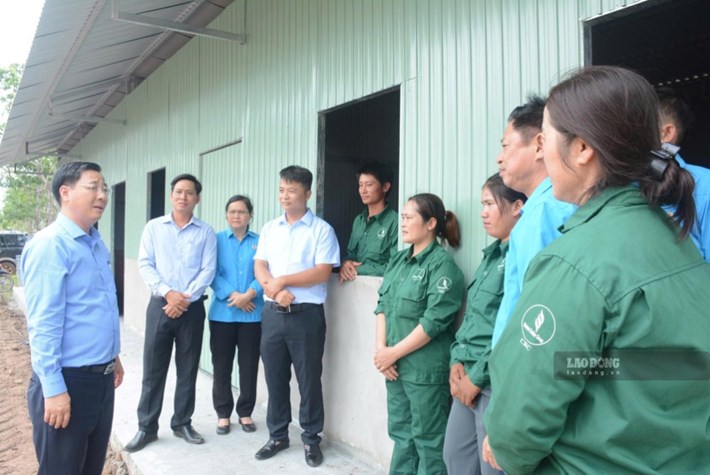 Leaders of Chu Se Rubber Company visit and encourage workers at the farm. Photo: Van Vinh
