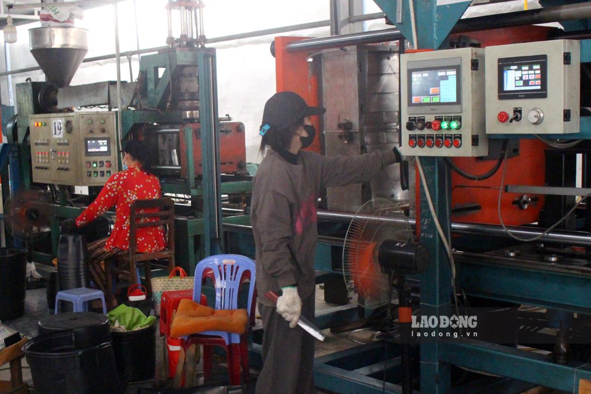 Tại Hợp tác xã Dịch vụ hoa kiểng Tân Dương (xã Tân Dương, tỉnh Đồng Tháp), nhiều khâu sản xuất do lao động nữ đảm trách. Ảnh: Thanh Mai (Ảnh chụp tháng 4/2026)