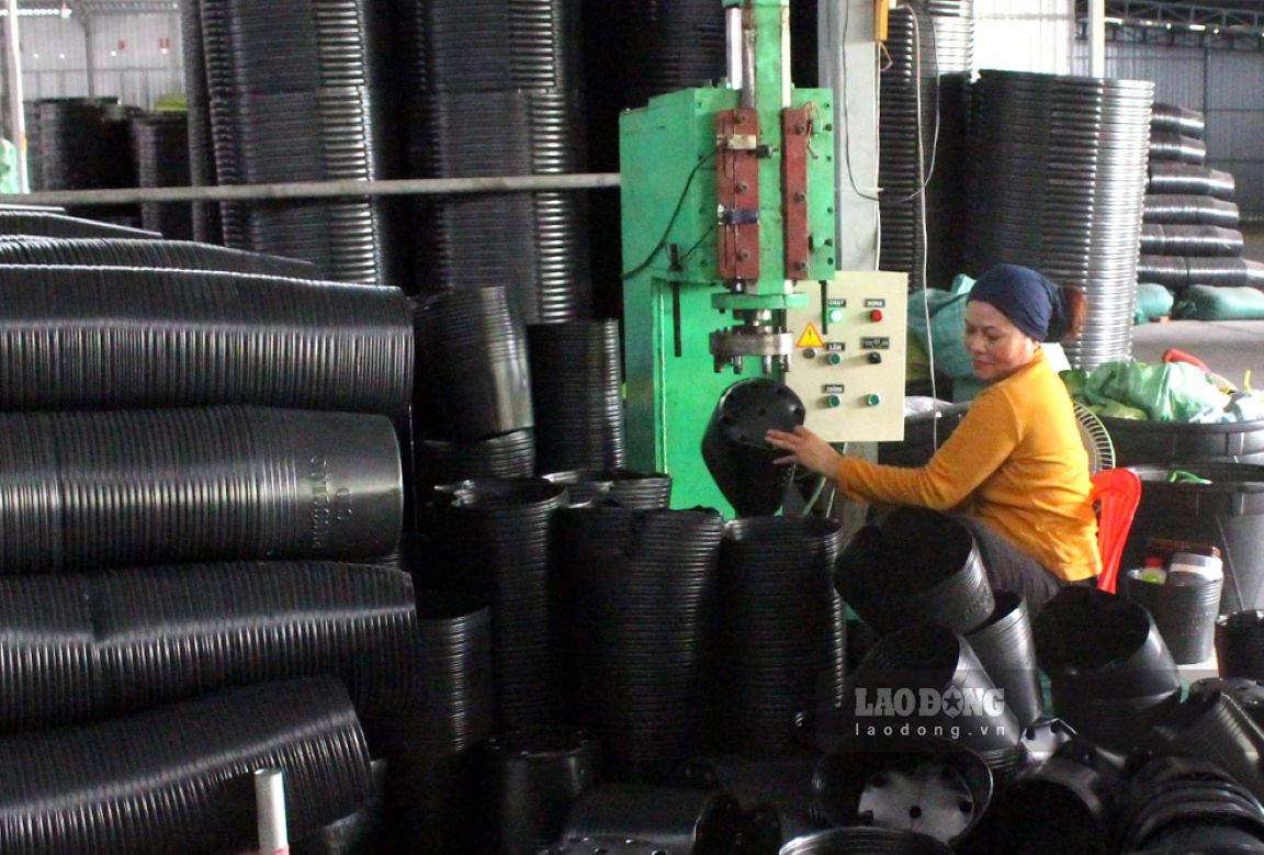 Tỉnh Đồng Tháp phấn đấu đến 2030 tạo việc làm cho hơn 3.000 lao động từ mô hình hợp tác xã do phụ nữ điều hành, quản lý. Ảnh: Thanh Mai (Ảnh chụp tháng 4.2026) 