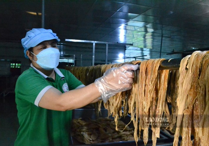 Dong Thap aims to create stable jobs for over 3,000 female members and workers through cooperatives and cooperative groups managed and operated by women. Photo: Thanh Mai