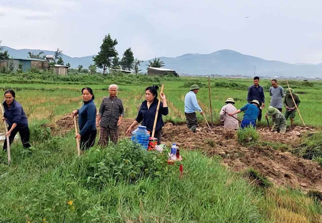 Vận động quy tập các phần mộ nằm rải rác trên đồng ruộng về nghĩa trang