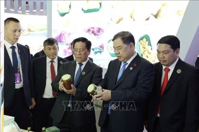 Ủy viên Bộ Chính trị, Phó Thủ tướng Thường trực Chính phủ Phạm Gia Túc và đoàn đại biểu Việt Nam tham quan các gian hàng của doanh nghiệp Việt Nam tham gia Hội chợ Trung Quốc - ASEAN lần thứ 23 năm 2026. Ảnh: TTXVN