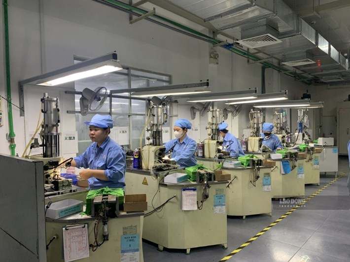 得乐省职能部门已实施多项措施,以支持劳动者,如果企业拖欠工资或延迟缴纳社保的情况发生。 图片:保中