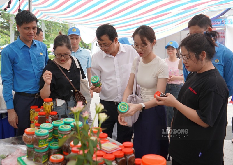 Công nhân Hải Phòng tham gia chiến dịch nói không với ma túy