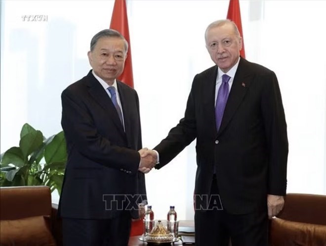 トー・ラム書記長兼国家主席がトルコのレジェップ・タイイップ・エルドアン大統領と会談。写真:TTXVN
