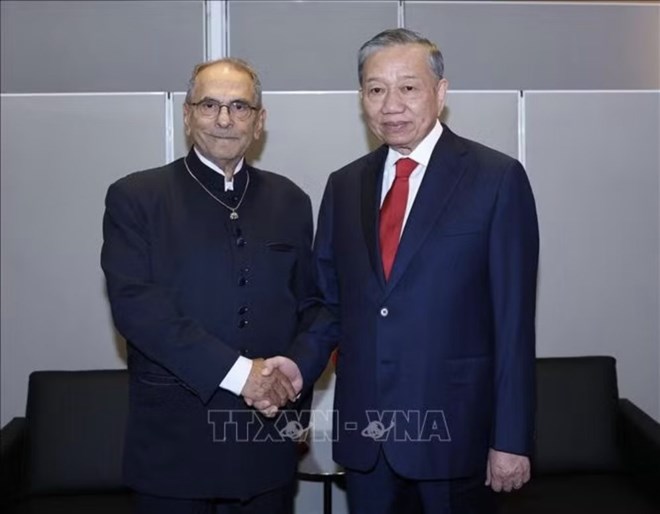 Continuar promoviendo la cooperación entre Vietnam y otros países de manera cada vez más sustantiva y efectiva