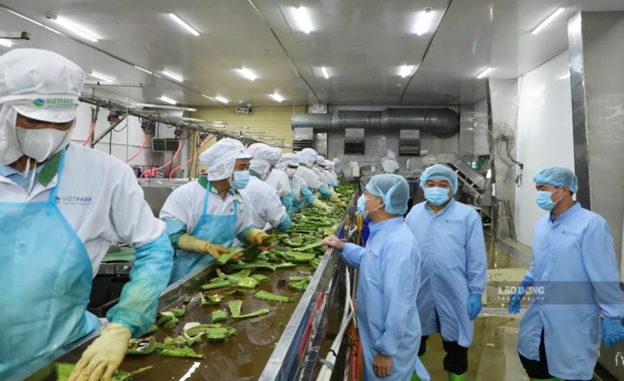 Trang bị cho người lao động kỹ năng tự bảo vệ trên không gian mạng