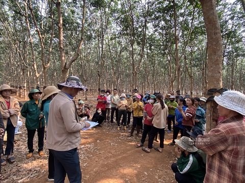 Khi được dạy kỹ năng nghề cơ bản, nhiều lao động đồng bào dân tộc thiểu số thuận lợi tìm công việc ổn định tại các công ty cao su trên địa bàn. Ảnh: Mai Vũ