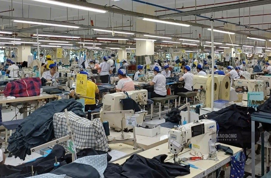 BHXH TPHCM thực hiện nhiều giải pháp đồng bộ để tăng thu, giảm chậm đóng BHXH góp phần bảo vệ quyền lợi của người lao động. Ảnh: Nam Dương