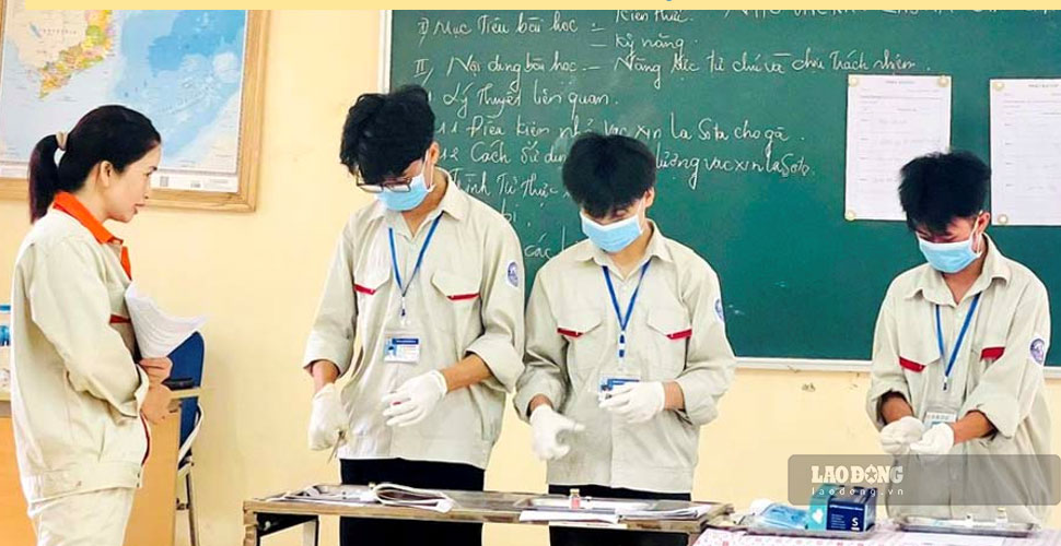 Doanh nghiệp tham gia đào tạo thực hành đến đánh giá và tuyển dụng. Ảnh: Thanh Thủy