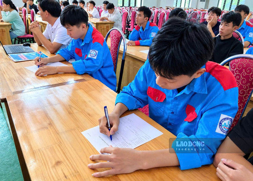 Sinh viên lựa chọn ngành nghề đang có nhu cầu tuyển dụng.