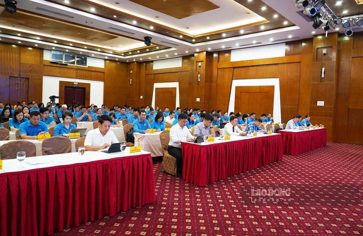 Quang cảnh hội nghị. Ảnh: Đoàn Hưng