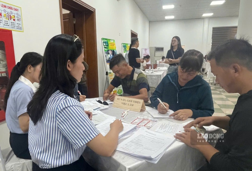 Hanoi builds job market database according to 4 groups