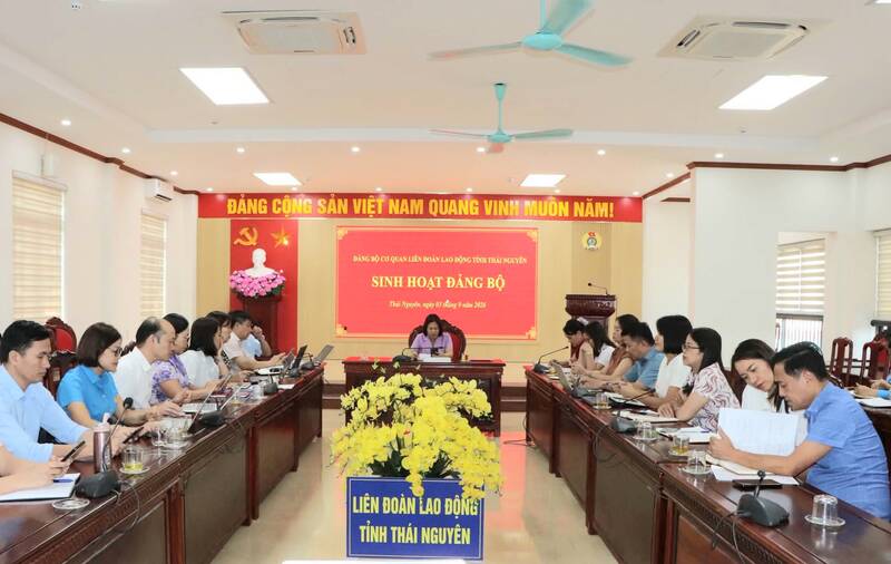 Establishment of the Party Committee of the Thai Nguyen Provincial Labor Federation Agency