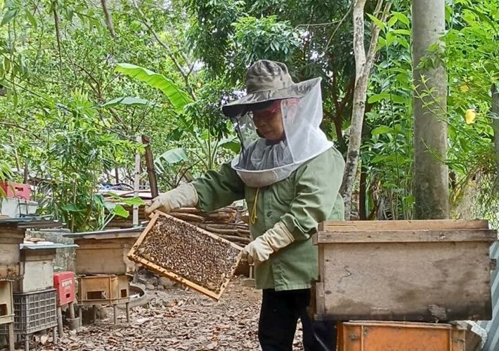 A woman in Truong Son commune with beekeeping work. After being trained and supported with information, beekeeping has become more methodical. Photo: Quang Tri Women's Union