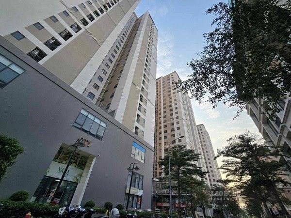 Theo Nghị định 339, mức phạt với hành vi sử dụng chung cư vào mục đích không phải để ở tăng hơn 3 lần, lên 100-130 triệu đồng. Ảnh: Bình Nguyên