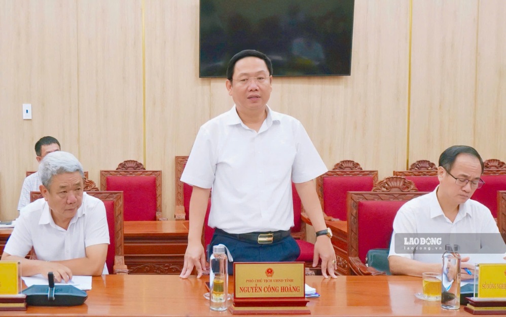 Ông Nguyễn Công Hoàng - Phó Chủ tịch UBND tỉnh Quảng Ngãi phát biểu tại buổi làm việc. Ảnh: Viên Nguyễn