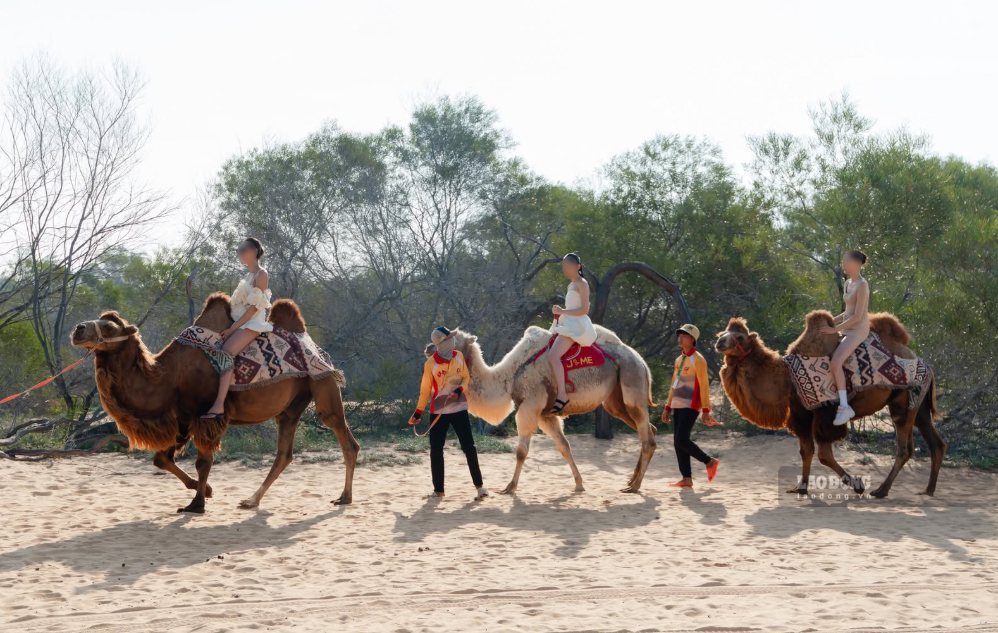 Trade union signs benefits, reduces 50% of tourism service prices for union members