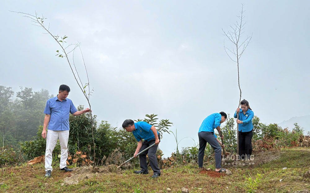 Nghia Lo Trade Union spreads beautiful actions for the environment