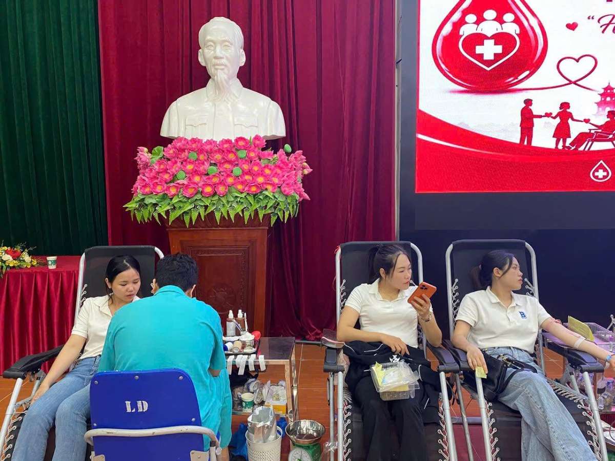 Ninh Binh Trade Union members share meaningful blood
